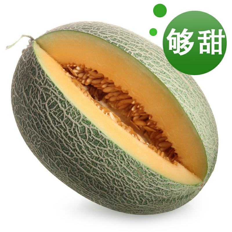 海南哈密瓜小蜜25号，电商、商超，市场基地供应，优质代办
