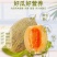 海南哈密瓜小蜜25号，电商、商超，市场基地供应，优质代办