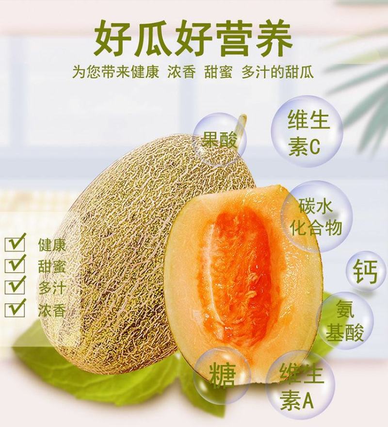 海南哈密瓜小蜜25号，电商、商超，市场基地供应，优质代办