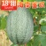 海南哈密瓜小蜜25号，电商、商超，市场基地供应，优质代办