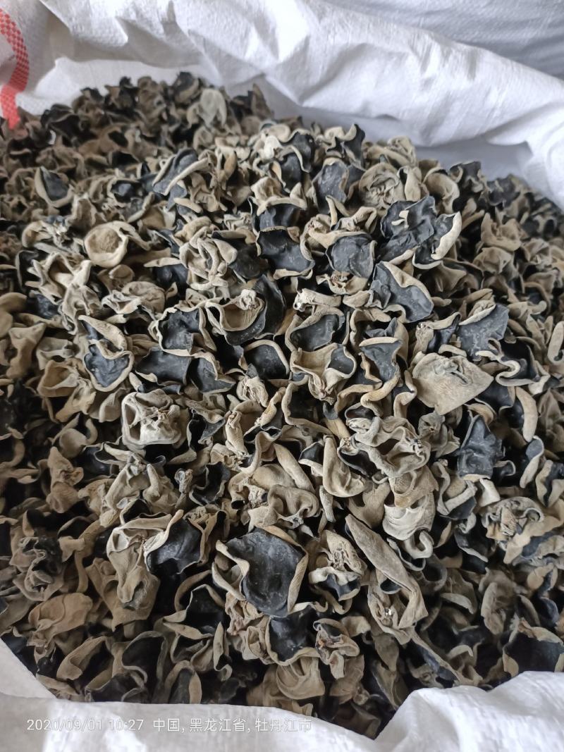 【优选】东北黑木耳基地直销量大优惠可供超市平台电商