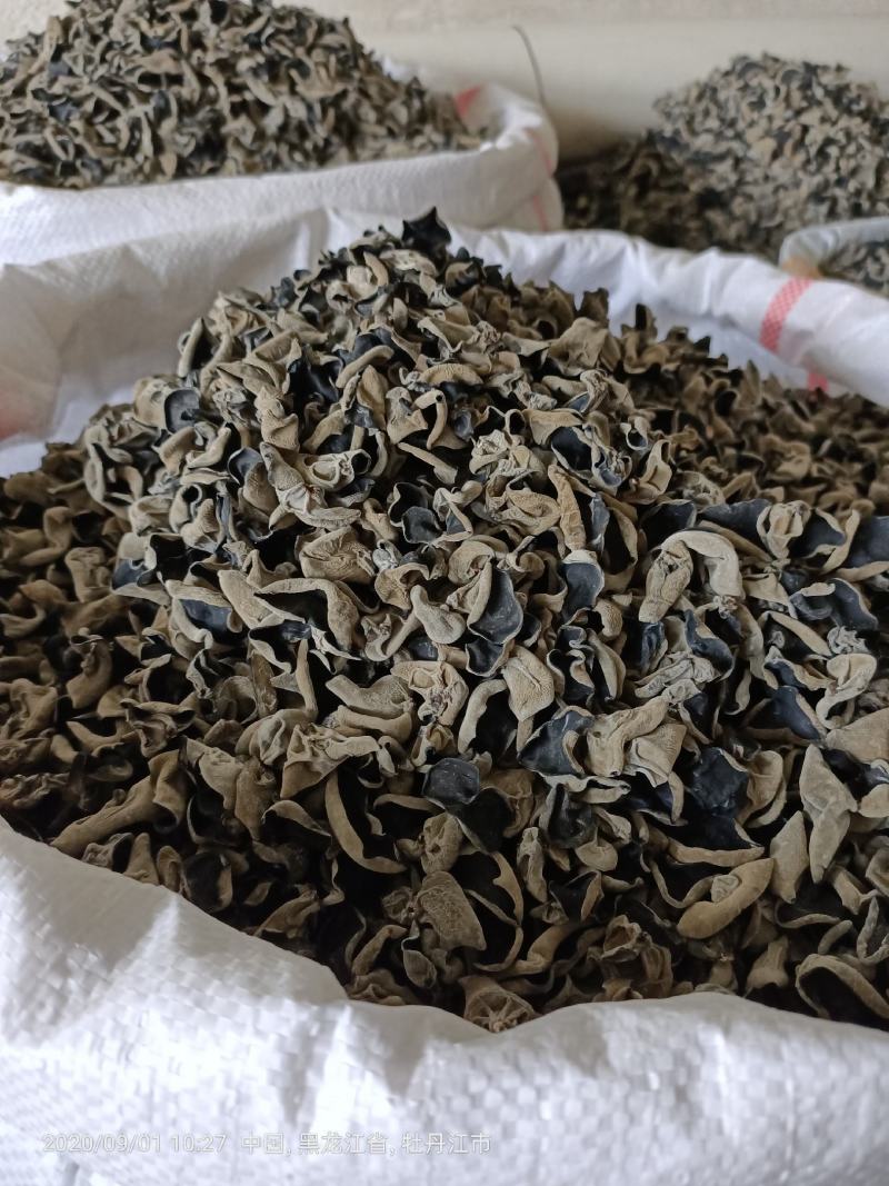 【优选】东北黑木耳基地直销量大优惠可供超市平台电商