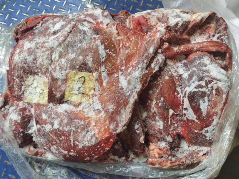 蒙古国草原生态马肉，超码四分体马肉冷冻马肉