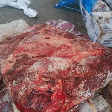 蒙古国草原生态马肉，超码四分体马肉冷冻马肉