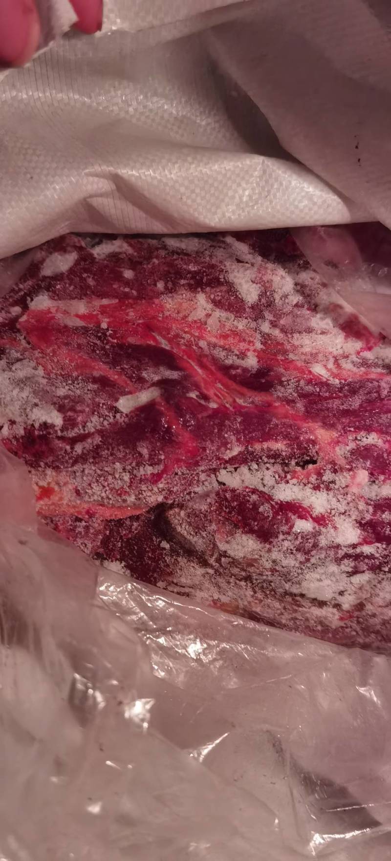 蒙古国草原生态马肉，超码四分体马肉冷冻马肉