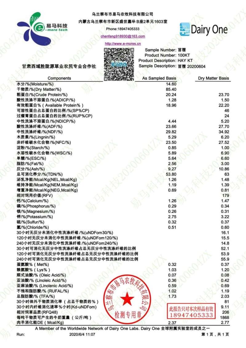 苜蓿草紫花苜蓿草批发加拿大进口种子培育苜蓿草蛋白高
