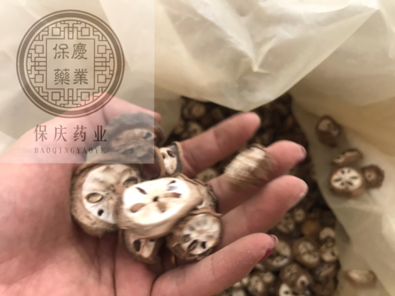 八月扎八月渣预知子八月札保庆药业批发实物拍摄八月渣