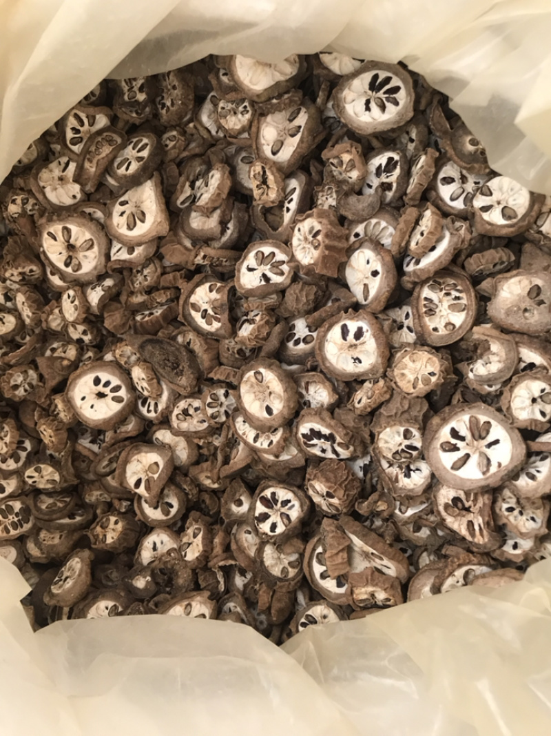 八月扎八月渣预知子八月札保庆药业批发实物拍摄八月渣