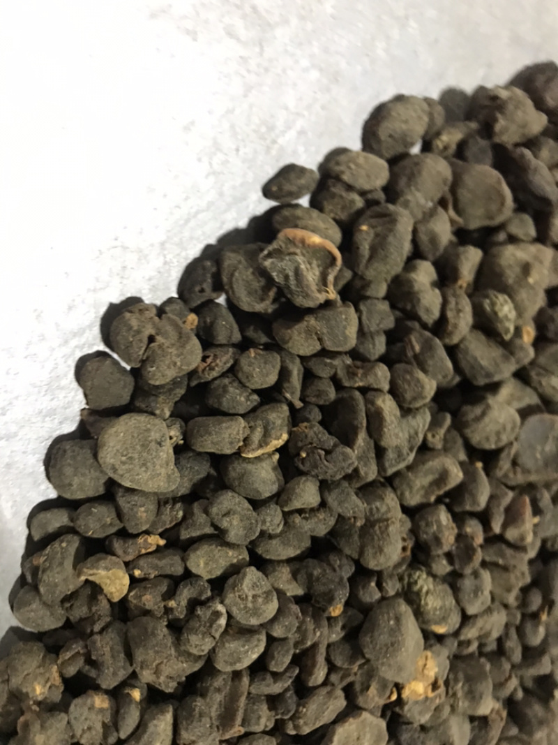 土贝母实物拍摄土贝母贝母保庆药材批发土贝母