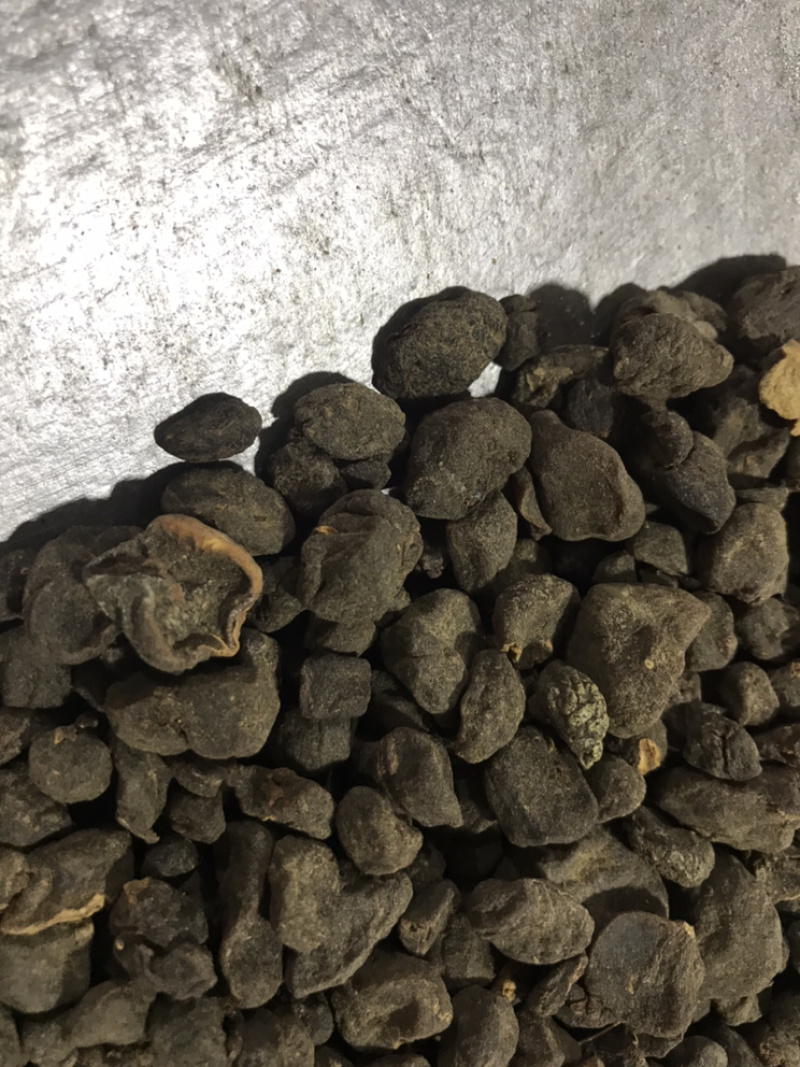 土贝母实物拍摄土贝母贝母保庆药材批发土贝母