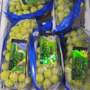 湖南常德阳光玫瑰新鲜出炉/5斤/9斤/10斤全新包装