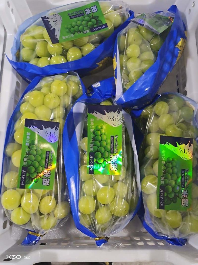 湖南常德阳光玫瑰新鲜出炉/5斤/9斤/10斤全新包装