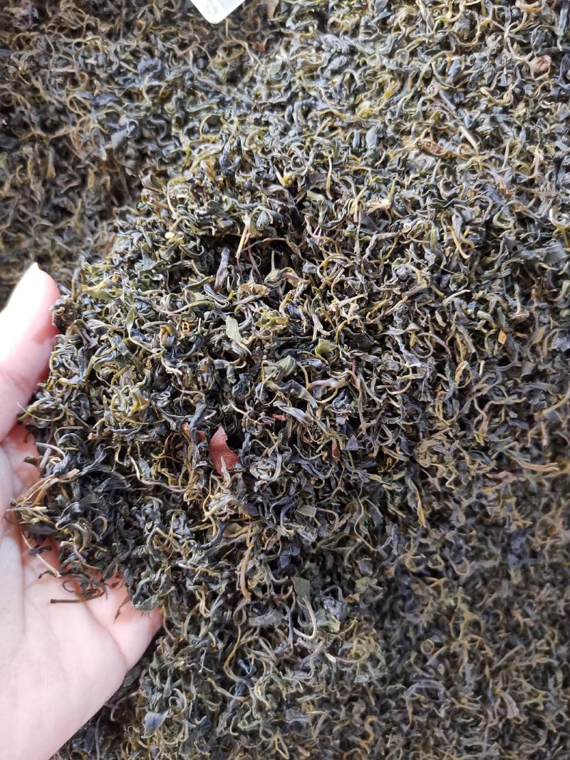 小叶苦丁茶苦丁茶新货批发各种花草茶品质保证