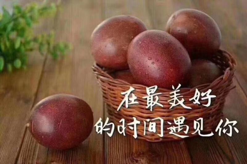贵州生态种植百香果，
