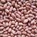 花生米，鲁花8号小白沙，产地直销，大量供货，价格便宜，质