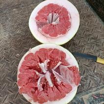 自家里种三红柚子20万斤