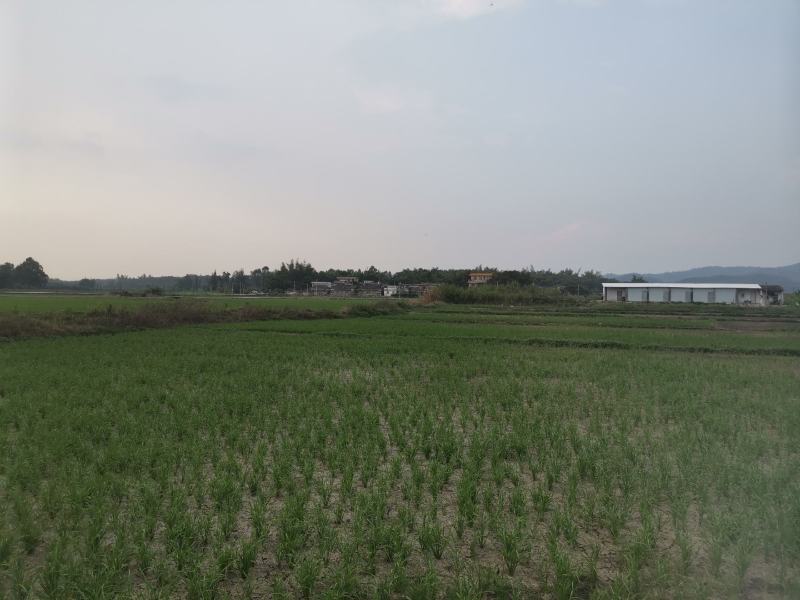 大量综合种植，养殖用地