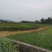 大量综合种植，养殖用地