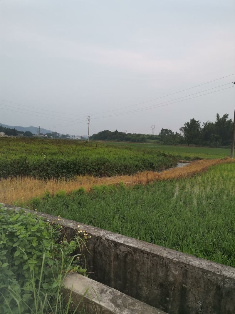 大量综合种植，养殖用地