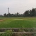 大量综合种植，养殖用地