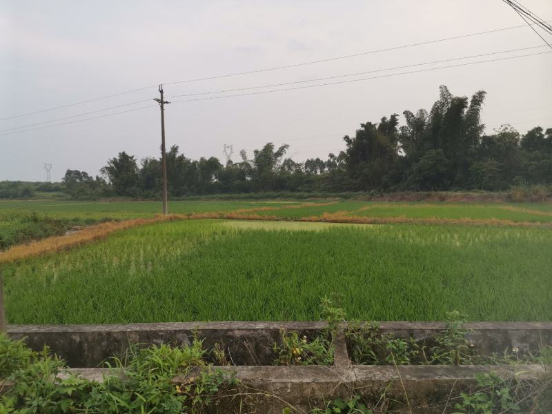 大量综合种植，养殖用地