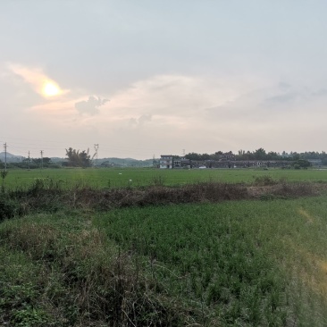 大量综合种植，养殖用地