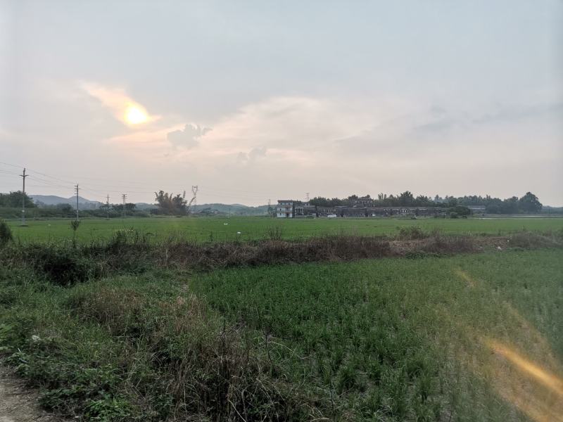 大量综合种植，养殖用地