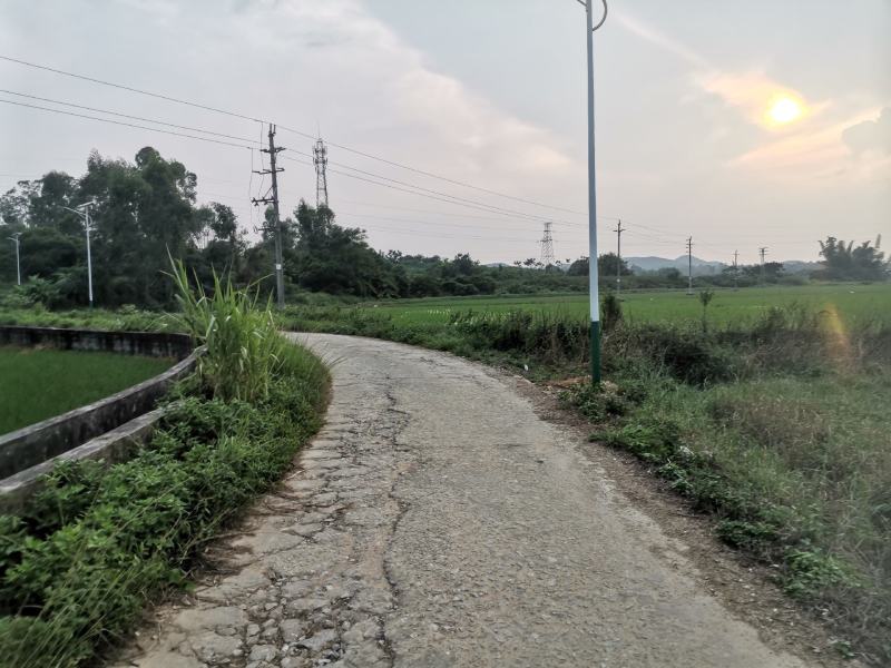 出租，转让，田地，山地，林地，鱼塘，养殖场地