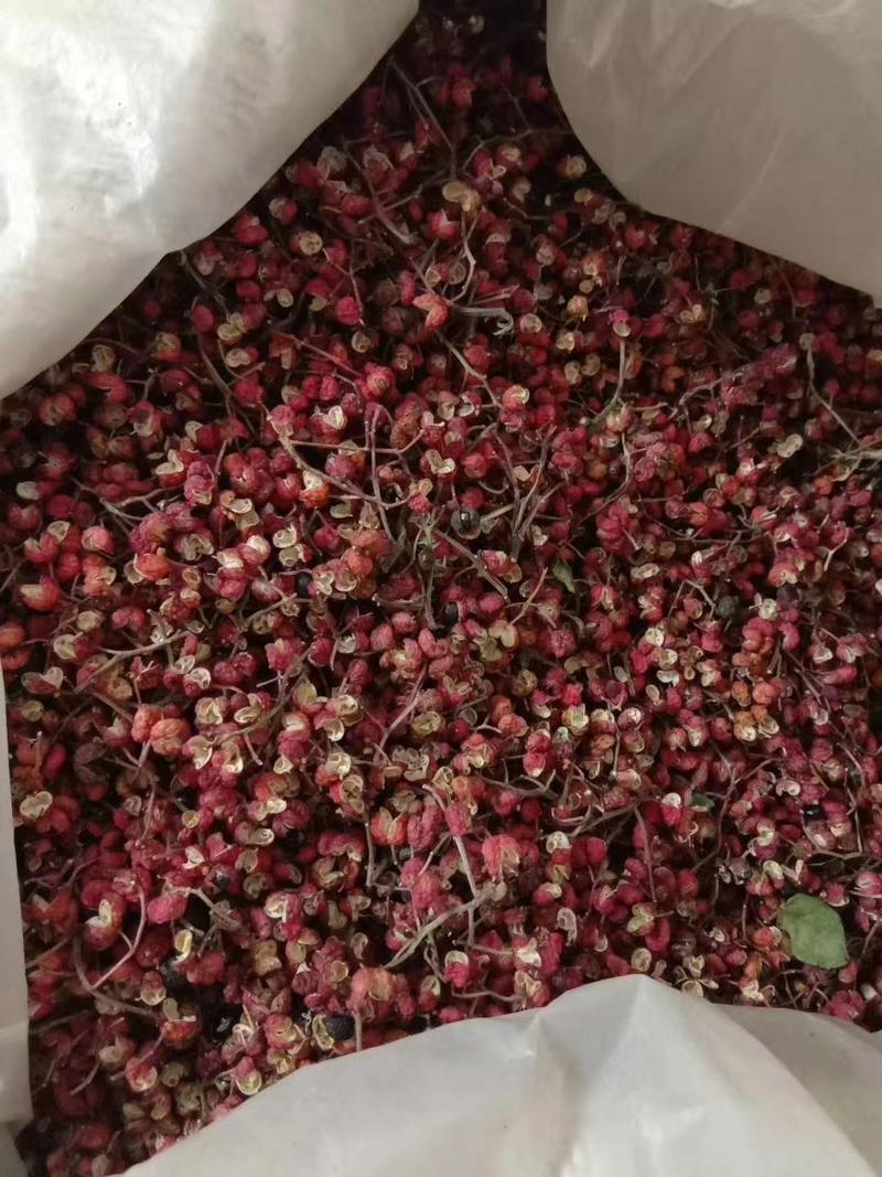 陕西农家大红袍花椒天然晾晒颗粒大色度红干净无籽