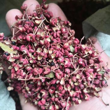 陕西农家大红袍花椒天然晾晒颗粒大色度红干净无籽