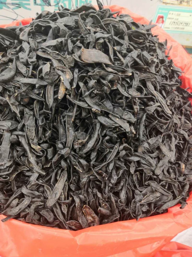 水蛭蚂蟥包邮水蛭清水吊干水蛭干各种规格等