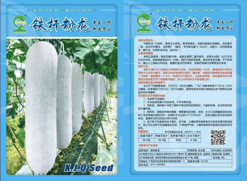 铁杆粉龙大冬瓜中熟炮弹形果实肉厚抗病抗逆性强