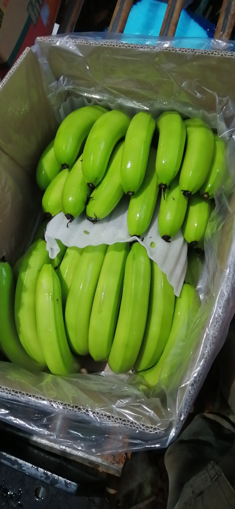 香蕉