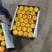 湖北蜜桔蜜橘柑橘皮薄多汁化渣一手货源产地现采欢迎联系