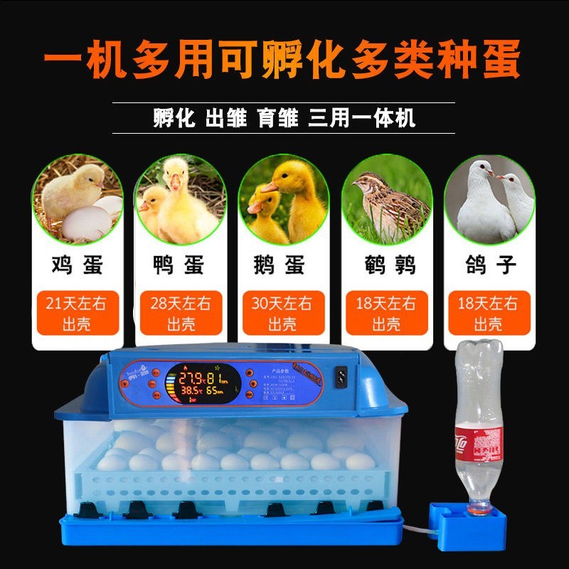 〈包邮）孵化机全自动家用小型孵化器小鸡鸭鹅鹌鹑自动加水孵