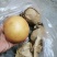 晚秋黄梨，基地货，现摘现卖，口感好，脆甜，欢迎选购