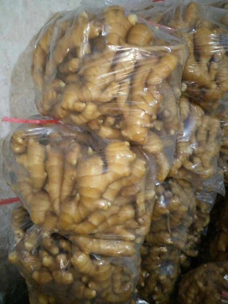 【热卖】水洗大姜辣味足块头大产地批发质量保证货源充足