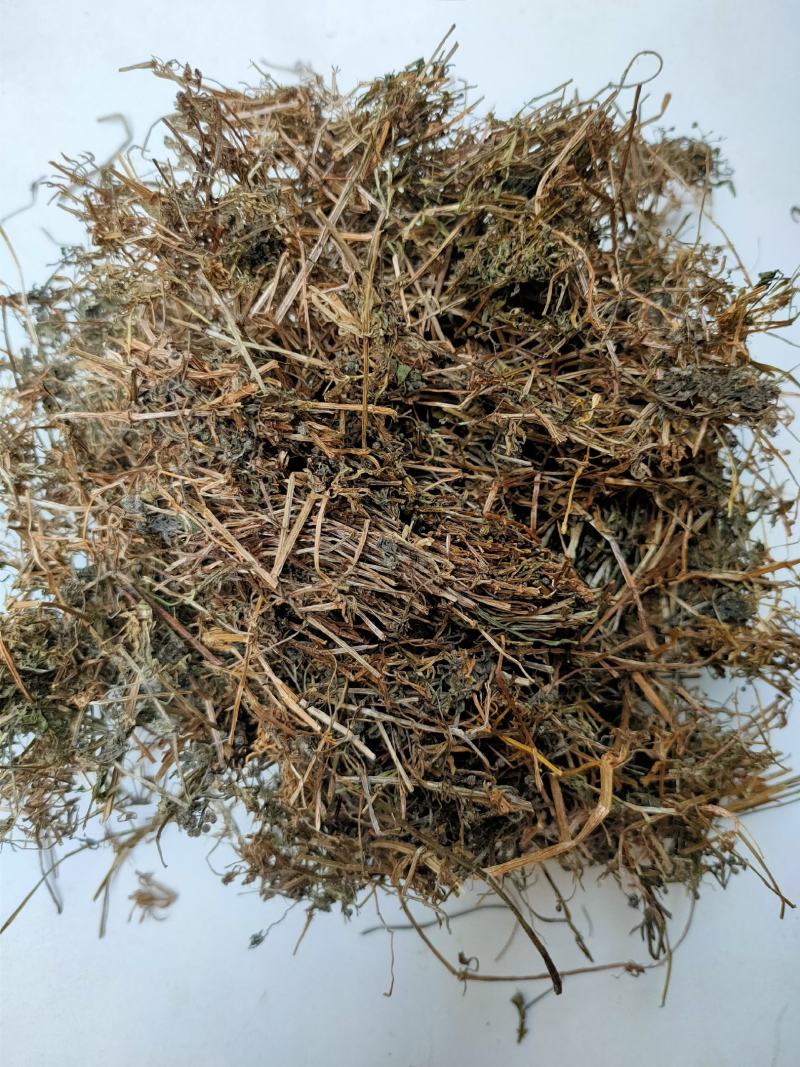 野生中药材猪殃殃猪秧秧八仙草锯子草拉拉藤