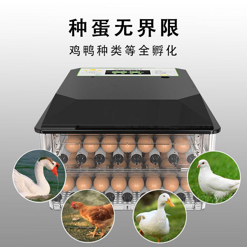 （包邮）高孵化率小型家用全自动水床孵化器迷你孵化机小鸡孵