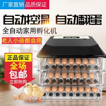 （包邮）高孵化率小型家用全自动水床孵化器迷你孵化机小鸡孵