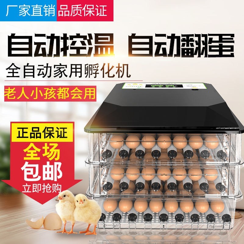 （包邮）高孵化率小型家用全自动水床孵化器迷你孵化机小鸡孵