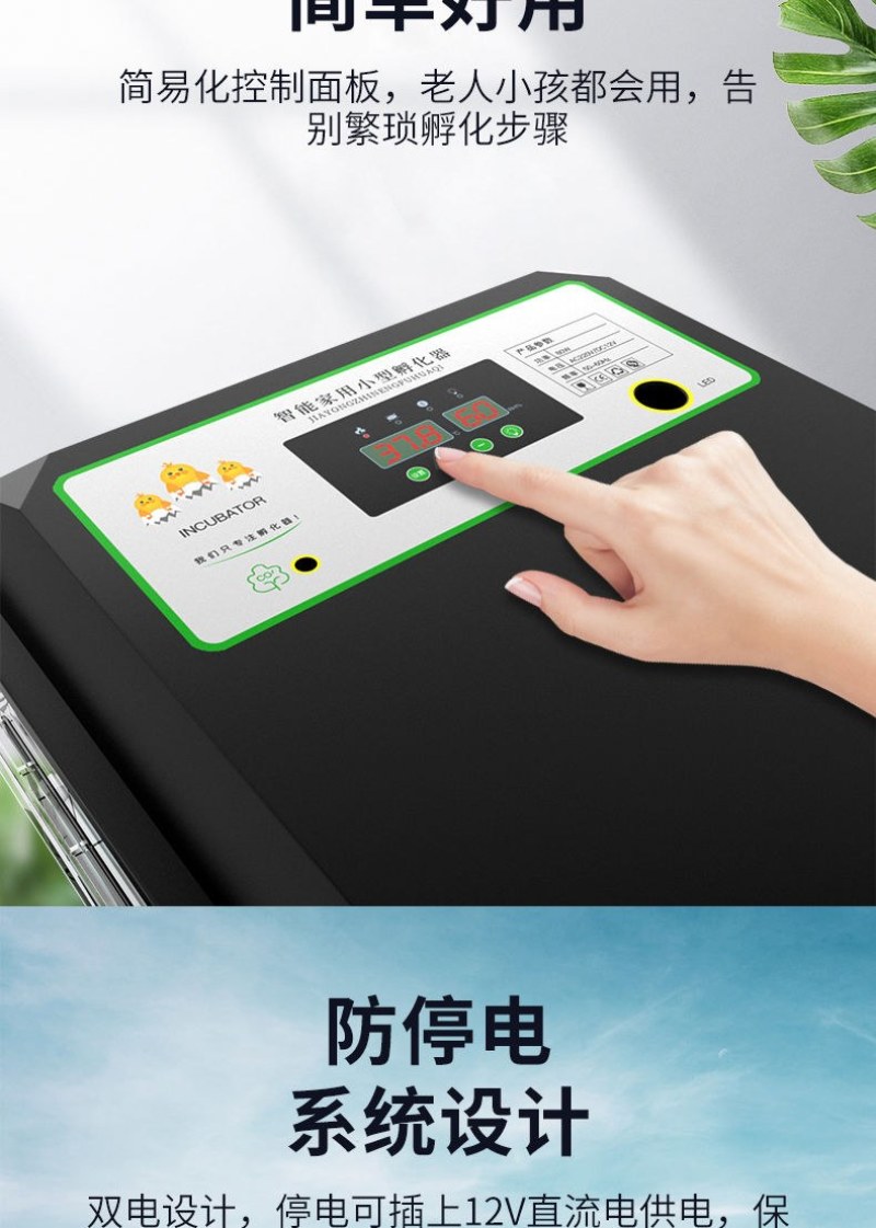 （包邮）高孵化率小型家用全自动水床孵化器迷你孵化机小鸡孵