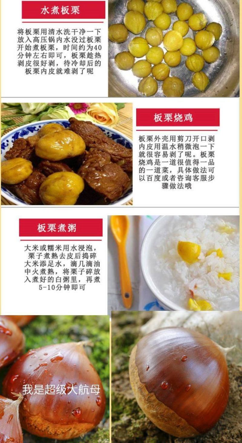 板栗新鲜板栗现摘现发板栗粉糯香板栗大板栗5斤装包邮