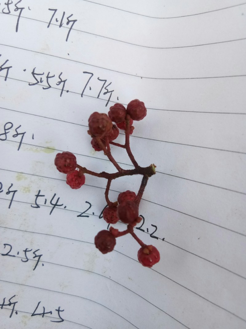 汉源花椒，贡椒。有1千多年上贡历史，味纯正，麻香味充足