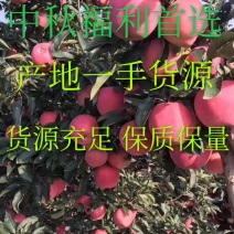 红星苹果中秋佳品，货源充足保质保量，个大精品，价格低