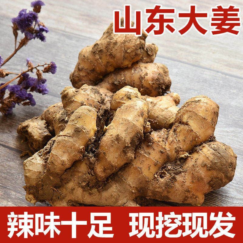 【热卖】生姜辣味十足姜块厚重【专供*电商市场商超出口】