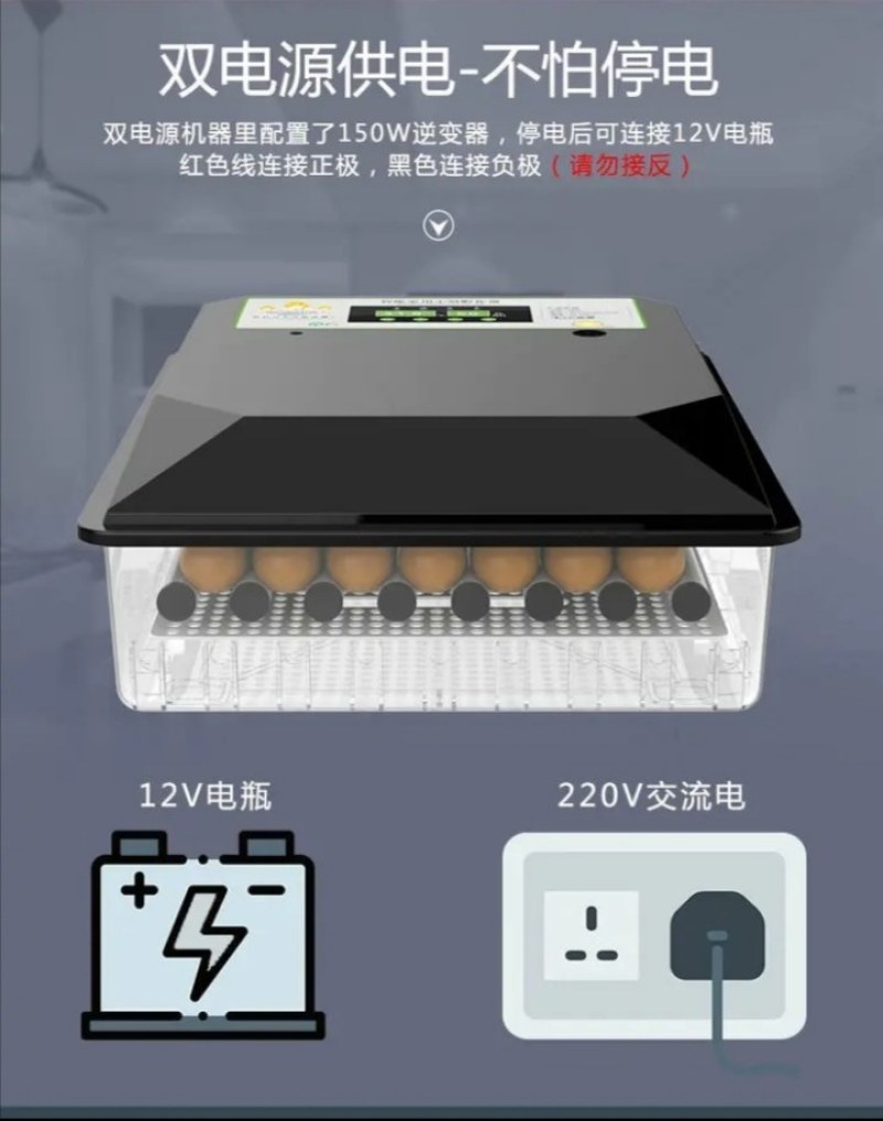 （包邮）高孵化率小型家用全自动水床孵化器迷你孵化机小鸡孵
