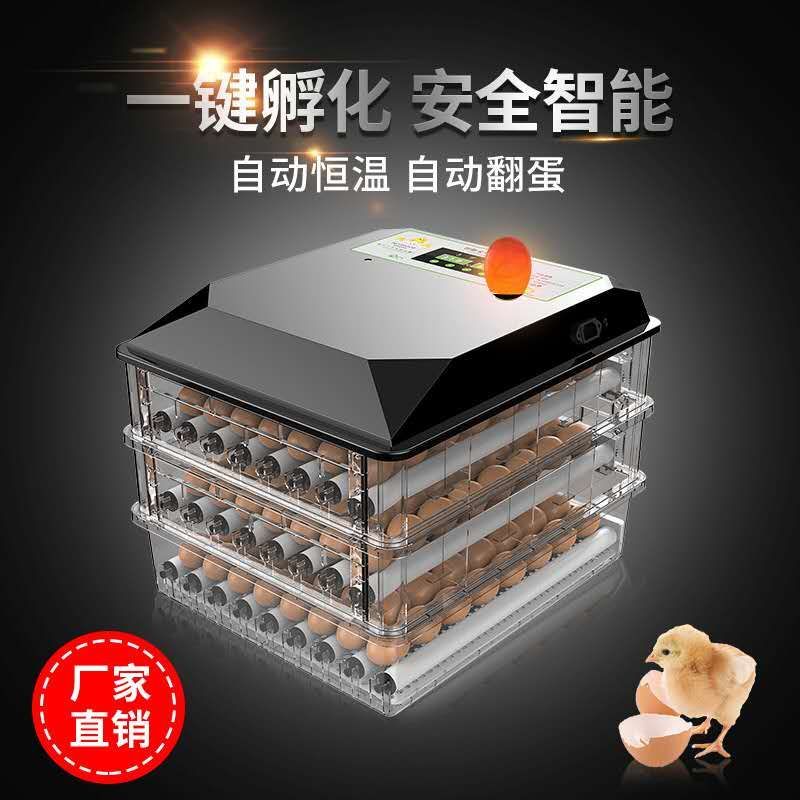 （包邮）高孵化率小型家用全自动水床孵化器迷你孵化机小鸡孵