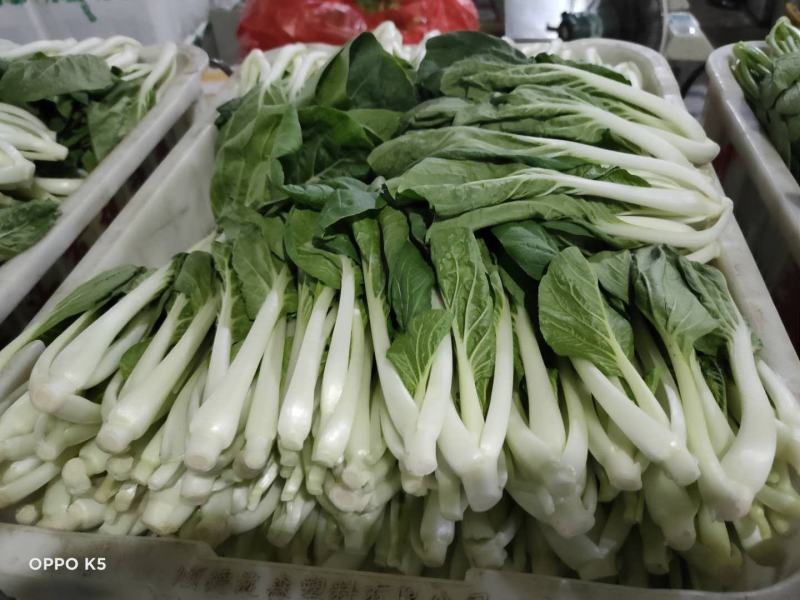 精品黑夜白，可长期合作，超市食堂大型冷库配送一条龙服务