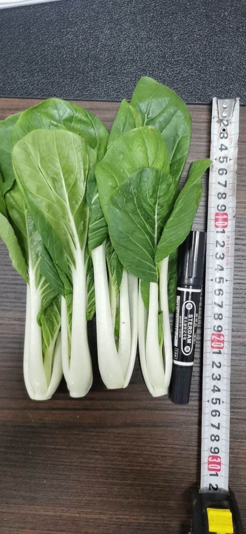 精品黑夜白，可长期合作，超市食堂大型冷库配送一条龙服务